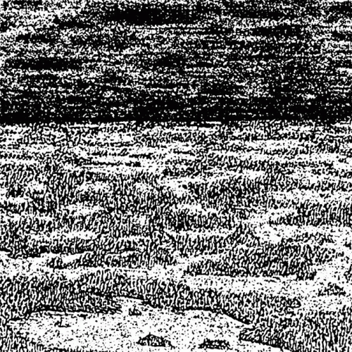 Aspaarn : Sacrifices in the Mist